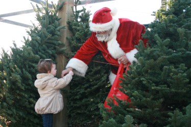 2014-12-13 15.44.10-1